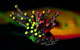 Projektor projectiondesign FR12 1080